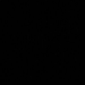 Meet your Posher, Gigi